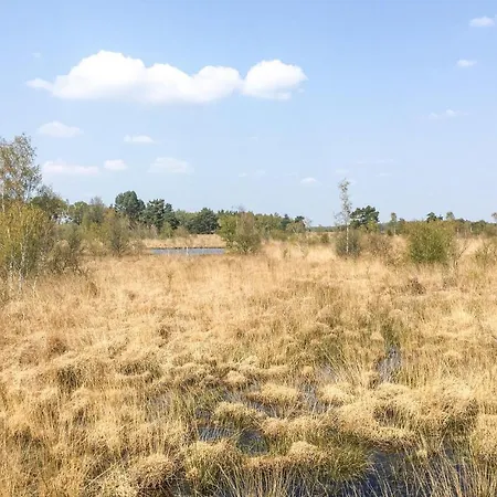 Pet Friendly In With Sauna