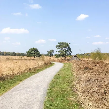 Pet Friendly In With Sauna Holiday home Meijel