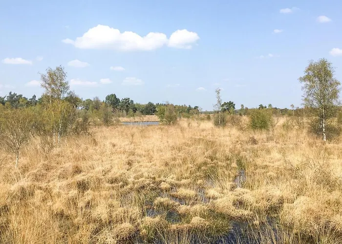 Pet Friendly In With Sauna